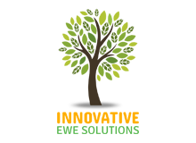 innovation ewe solutions